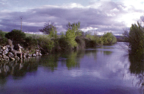 Paisajes y Naturaleza Falces